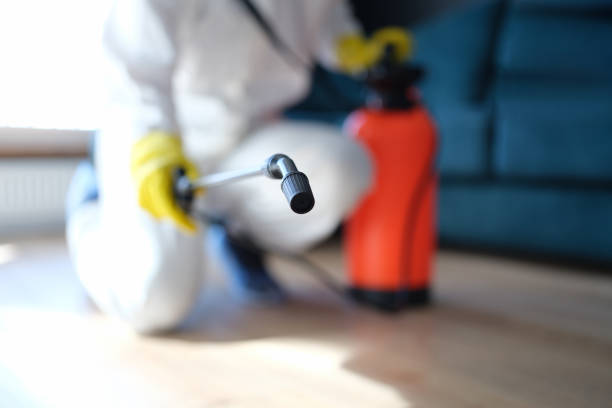 White Settlement, TX Mold Removal Company